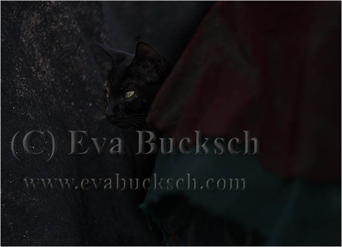 Foto av Eva Bucksch